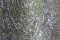 Keelars Tye fibreglass roof work